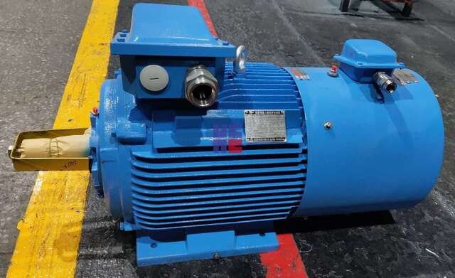 YPT3系列變頻調(diào)速三相異步電動機(jī)(H80~H355)